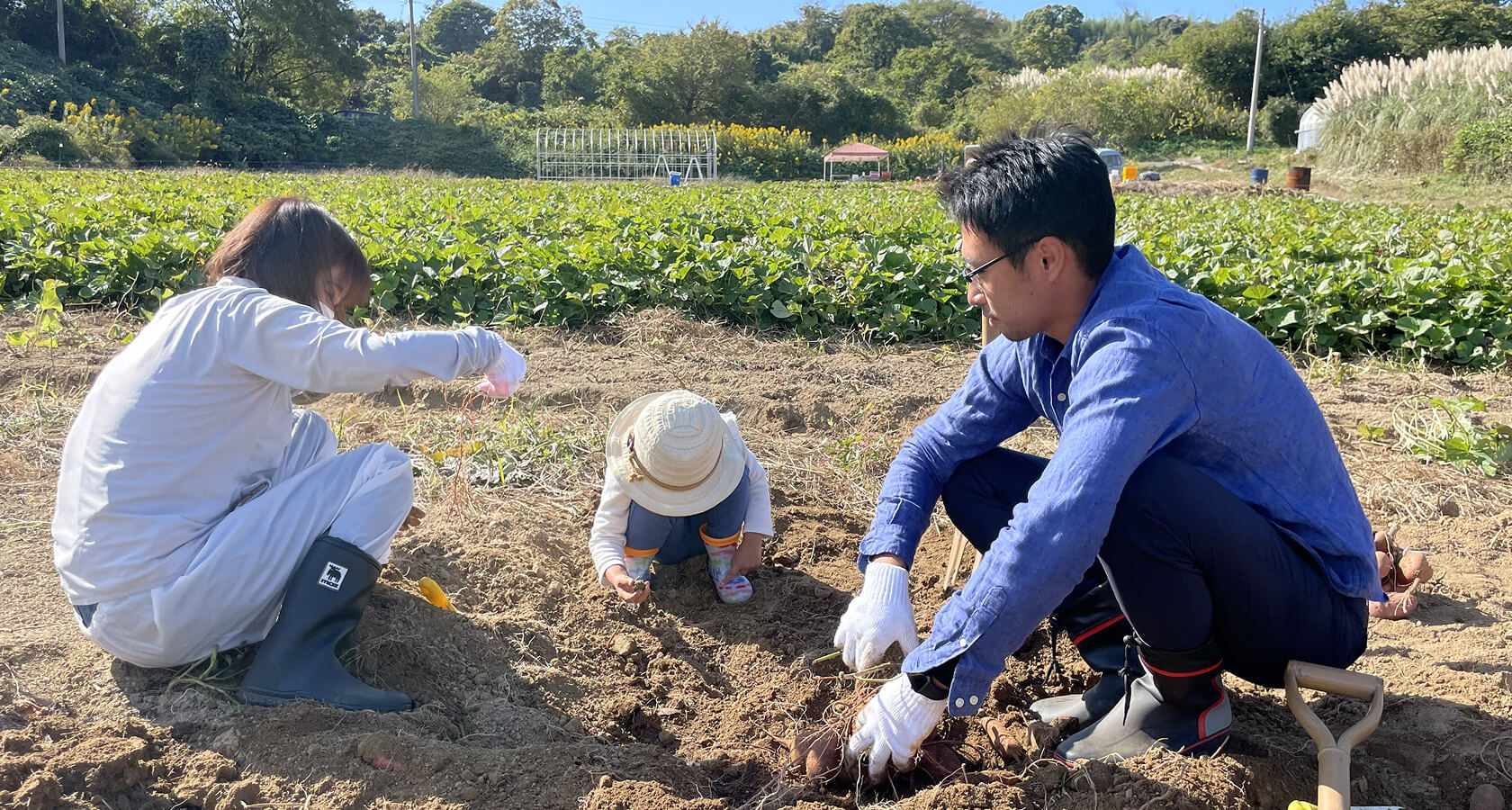 園芸療法 Horticultural Therapy